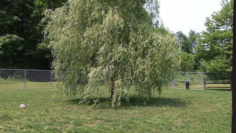 Paws on the Run Dog Park - Murrysville, PA