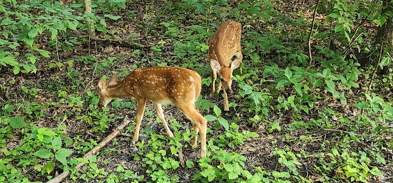 Roberts Trail Access - Westmoreland Heritage Trail - Murrysville, PA