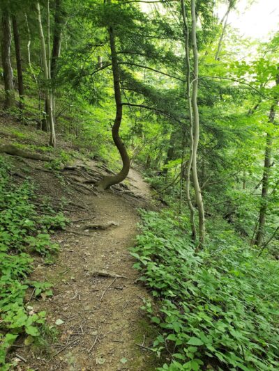 Roberts Trail Access - Westmoreland Heritage Trail - Murrysville, PA