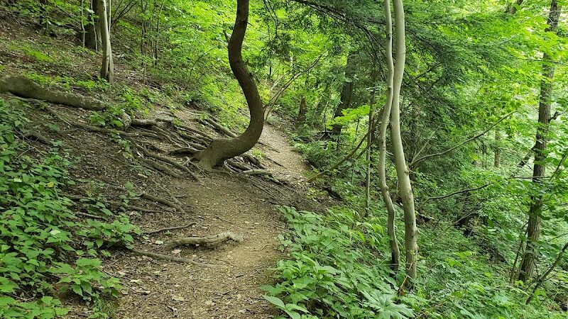 Roberts Trail Access - Westmoreland Heritage Trail - Murrysville, PA