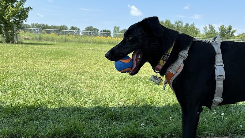 Muscatine Dog Park - Muscatine, IA