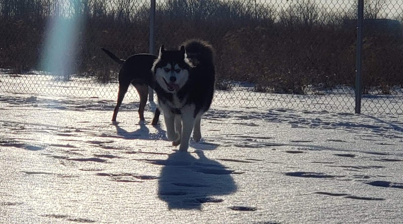 Muscatine Dog Park - Muscatine, IA