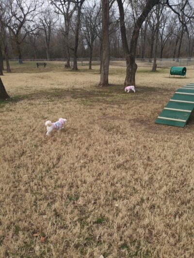 Coody Creek Bark Park - Muskogee, OK