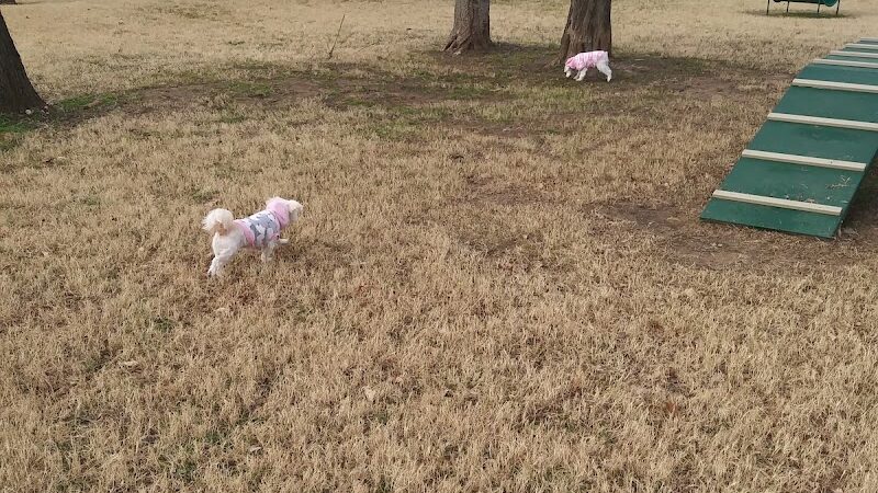 Coody Creek Bark Park - Muskogee, OK