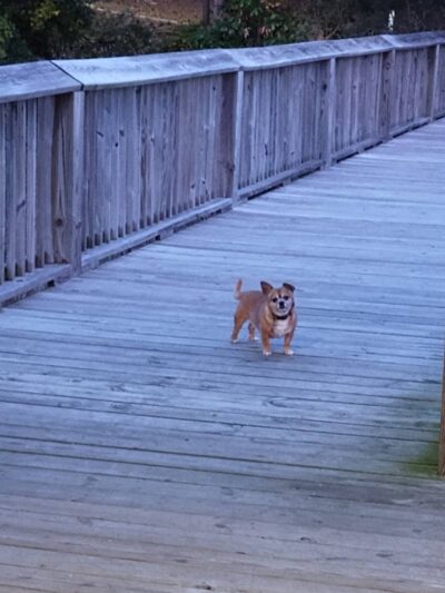 New Town Park - Myrtle Beach, SC