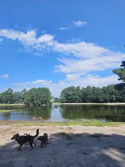 Sacred Mallard Lake - Myrtle Beach, SC