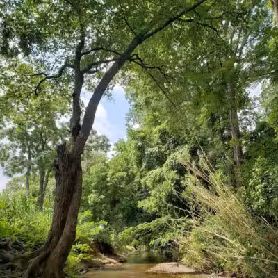 Banita Creek Park North and Dog Park - Nacogdoches, TX