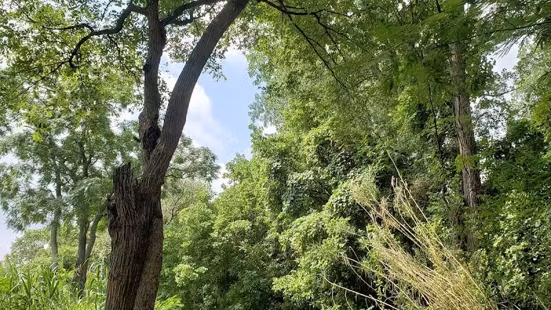 Banita Creek Park North and Dog Park - Nacogdoches, TX