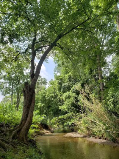Banita Creek Park North and Dog Park - Nacogdoches, TX