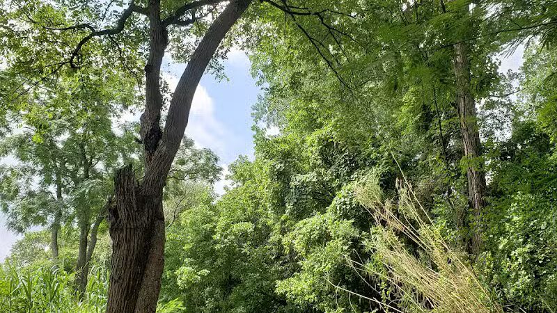 Banita Creek Park North and Dog Park - Nacogdoches, TX