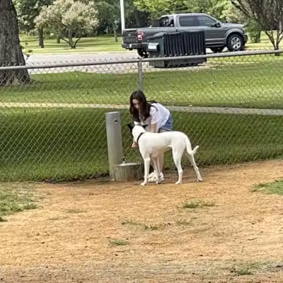Banita Creek Park North and Dog Park - Nacogdoches, TX