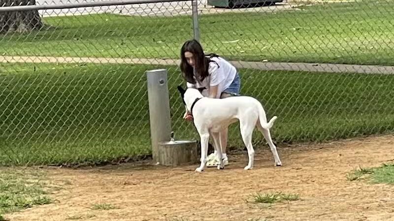 Banita Creek Park North and Dog Park - Nacogdoches, TX
