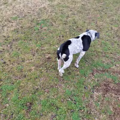Banita Creek Park North and Dog Park - Nacogdoches, TX