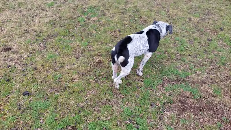 Banita Creek Park North and Dog Park - Nacogdoches, TX