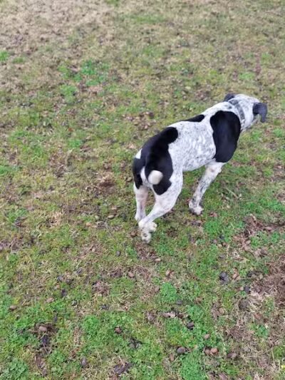 Banita Creek Park North and Dog Park - Nacogdoches, TX