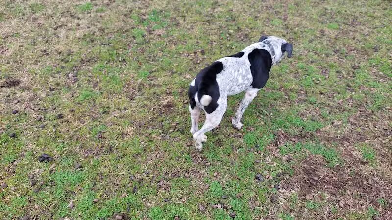 Banita Creek Park North and Dog Park - Nacogdoches, TX