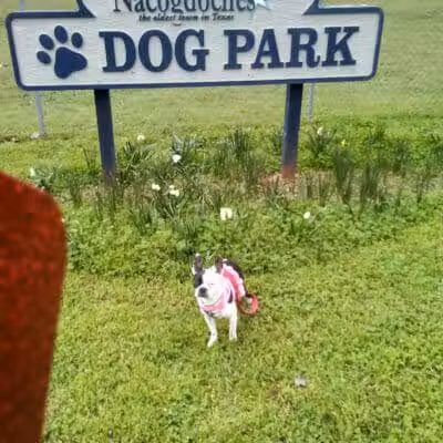 Banita Creek Park North and Dog Park - Nacogdoches, TX