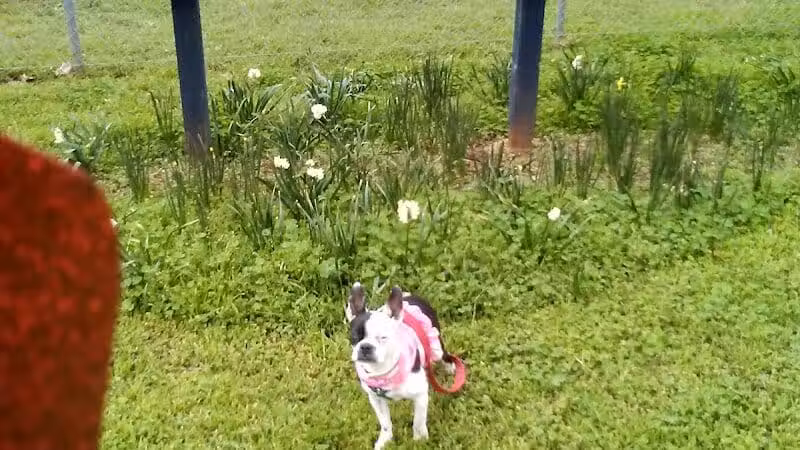 Banita Creek Park North and Dog Park - Nacogdoches, TX