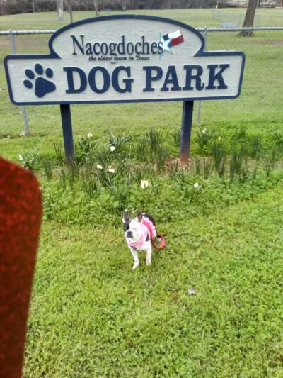 Banita Creek Park North and Dog Park - Nacogdoches, TX