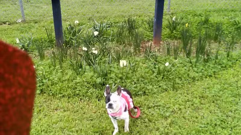 Banita Creek Park North and Dog Park - Nacogdoches, TX