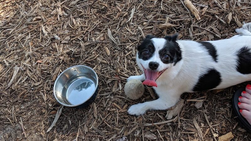 Nags Head Dog Park - Nags Head, NC