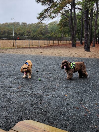 Nags Head Dog Park - Nags Head, NC