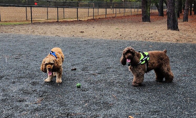 Nags Head Dog Park - Nags Head, NC