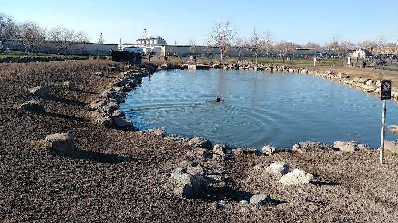 Amity Dog Park