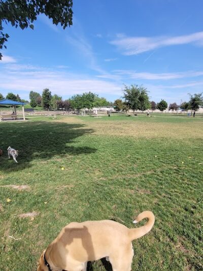 Amity Dog Park