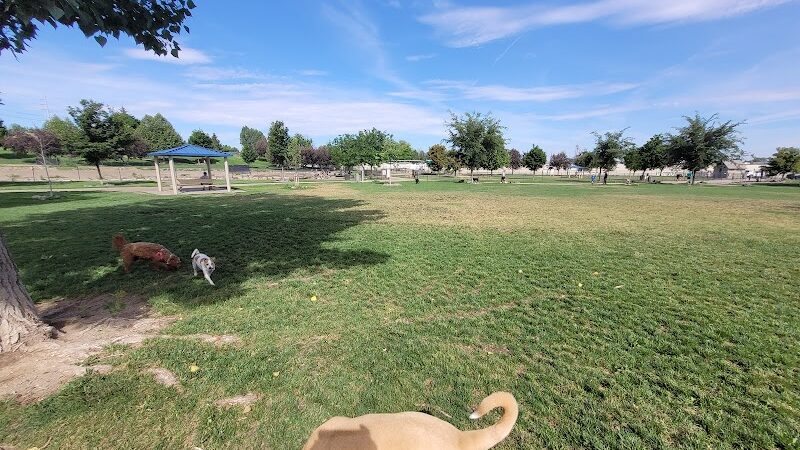 Amity Dog Park