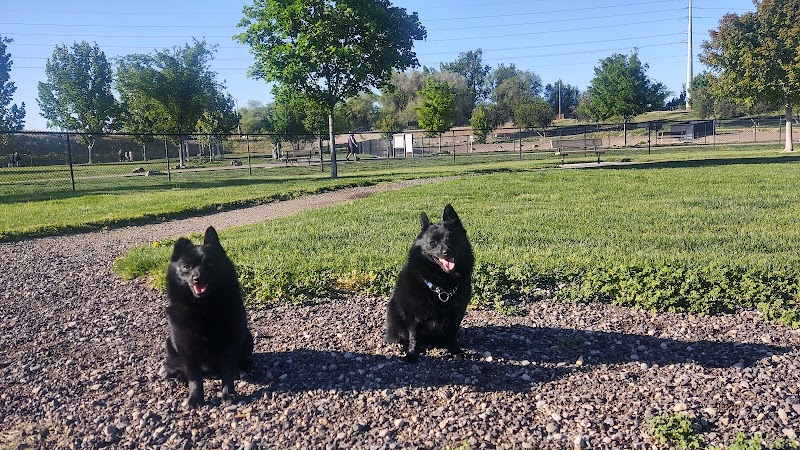 Amity Dog Park