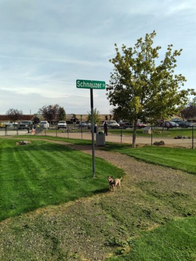 Amity Dog Park