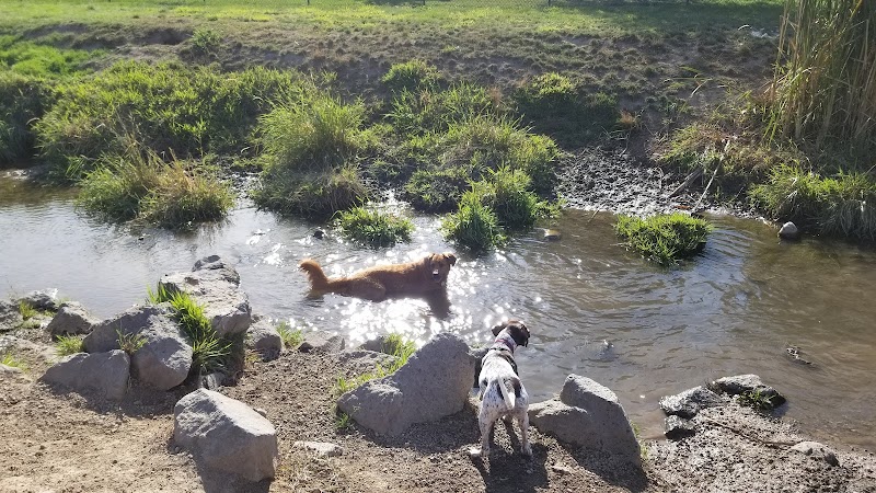 Amity Dog Park
