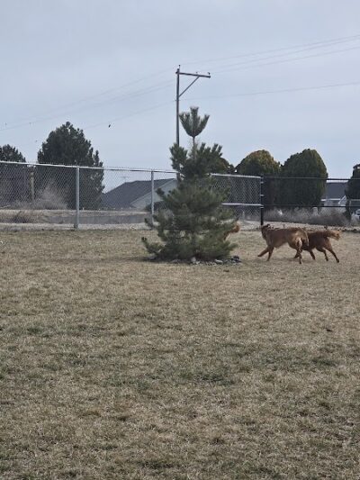 Huckleberry Dog Park