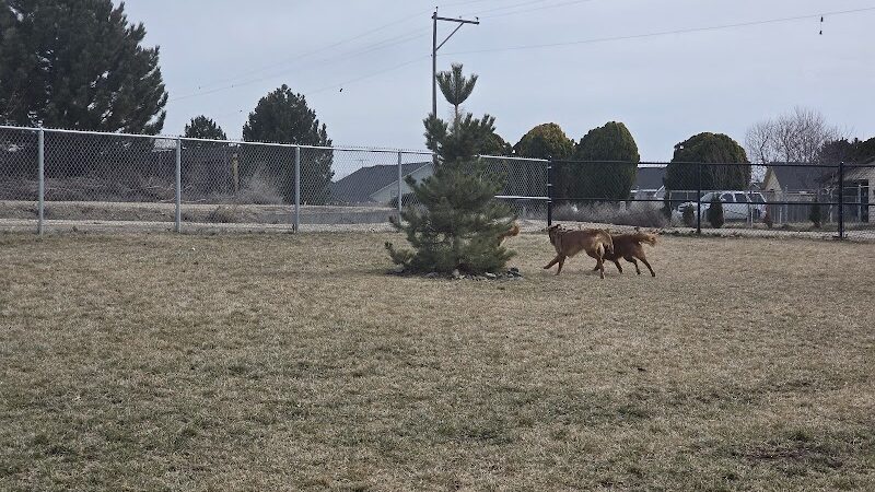 Huckleberry Dog Park