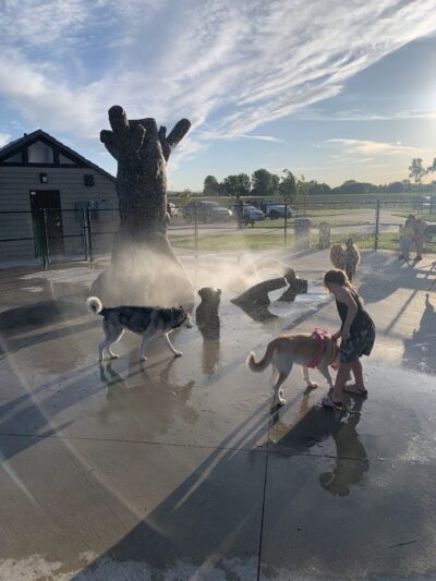 Huckleberry Dog Park