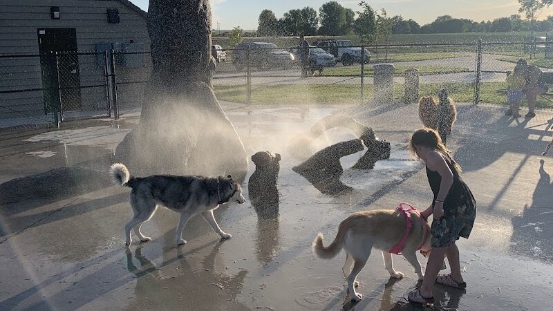Huckleberry Dog Park