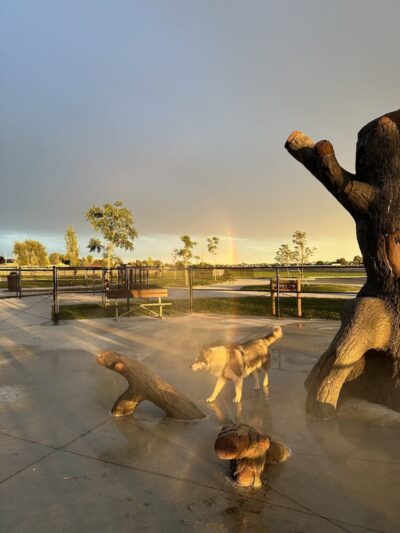 Huckleberry Dog Park
