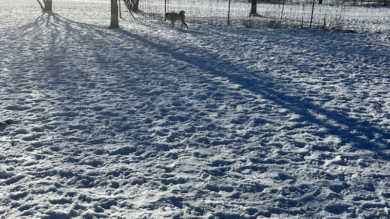 Greene Valley Dog Park - Naperville, IL