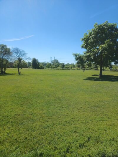 Greene Valley Dog Park - Naperville, IL