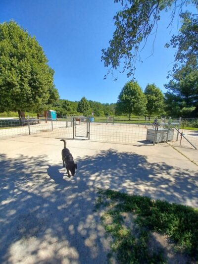 Greene Valley Dog Park - Naperville, IL