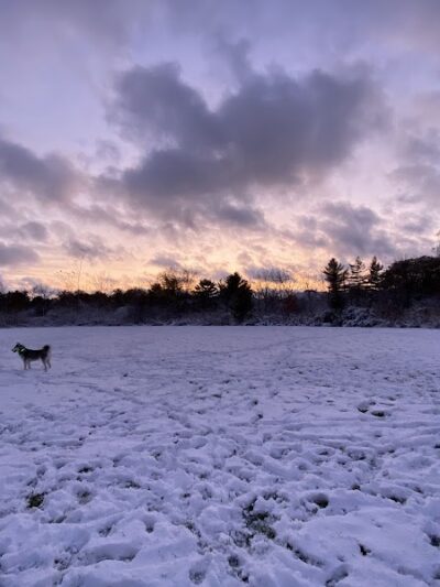 Greene Valley Dog Park - Naperville, IL