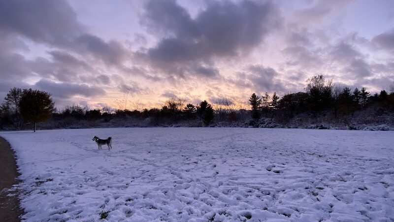 Greene Valley Dog Park - Naperville, IL