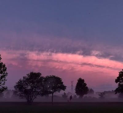 Greene Valley Dog Park - Naperville, IL