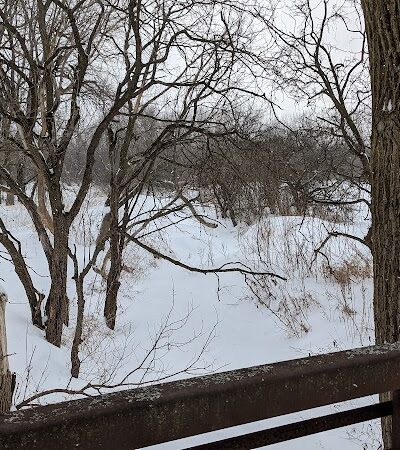 Greene Valley Dog Park - Naperville, IL
