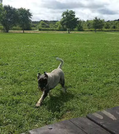 Greene Valley Dog Park - Naperville, IL