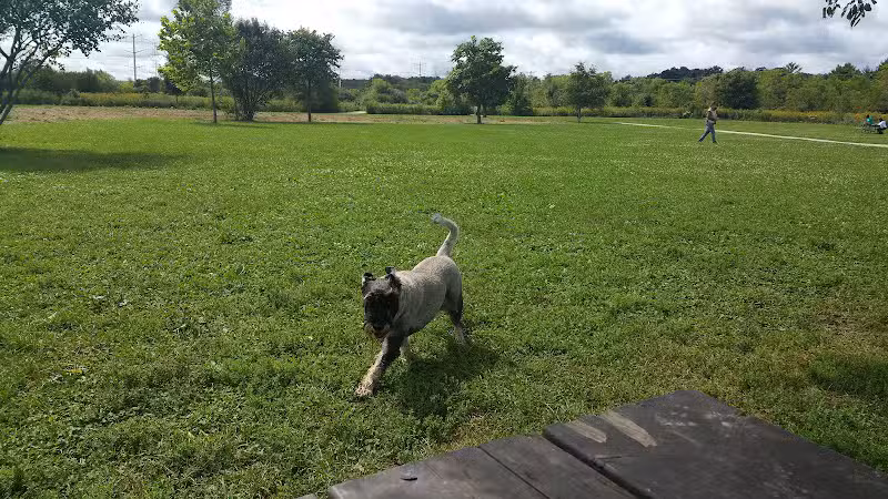 Greene Valley Dog Park - Naperville, IL
