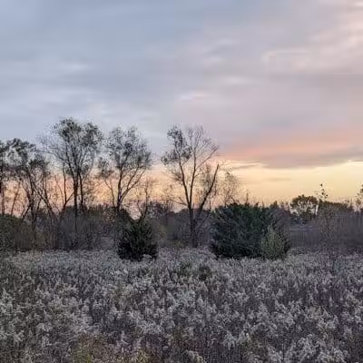 Springbrook Prairie Dog Park - Naperville, IL
