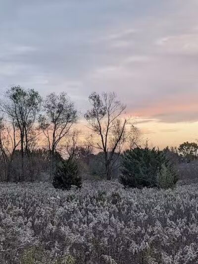 Springbrook Prairie Dog Park - Naperville, IL