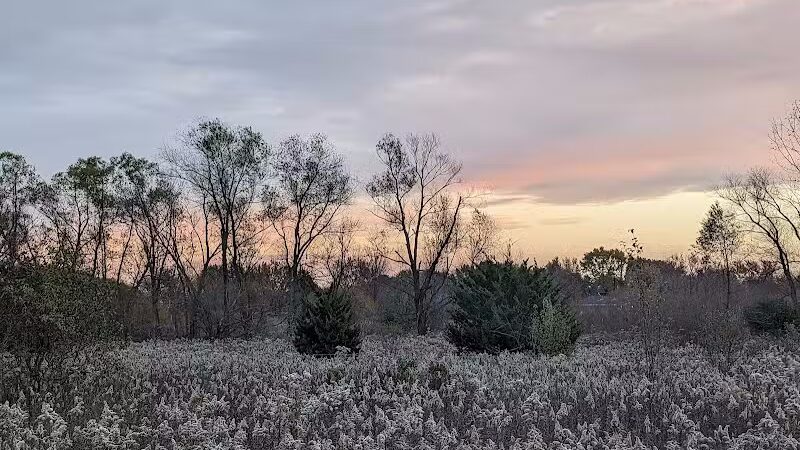 Springbrook Prairie Dog Park - Naperville, IL